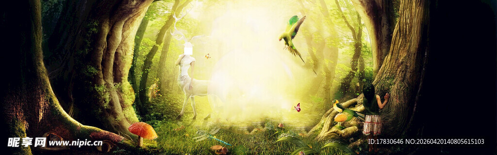 奇幻森林中的神秘光影