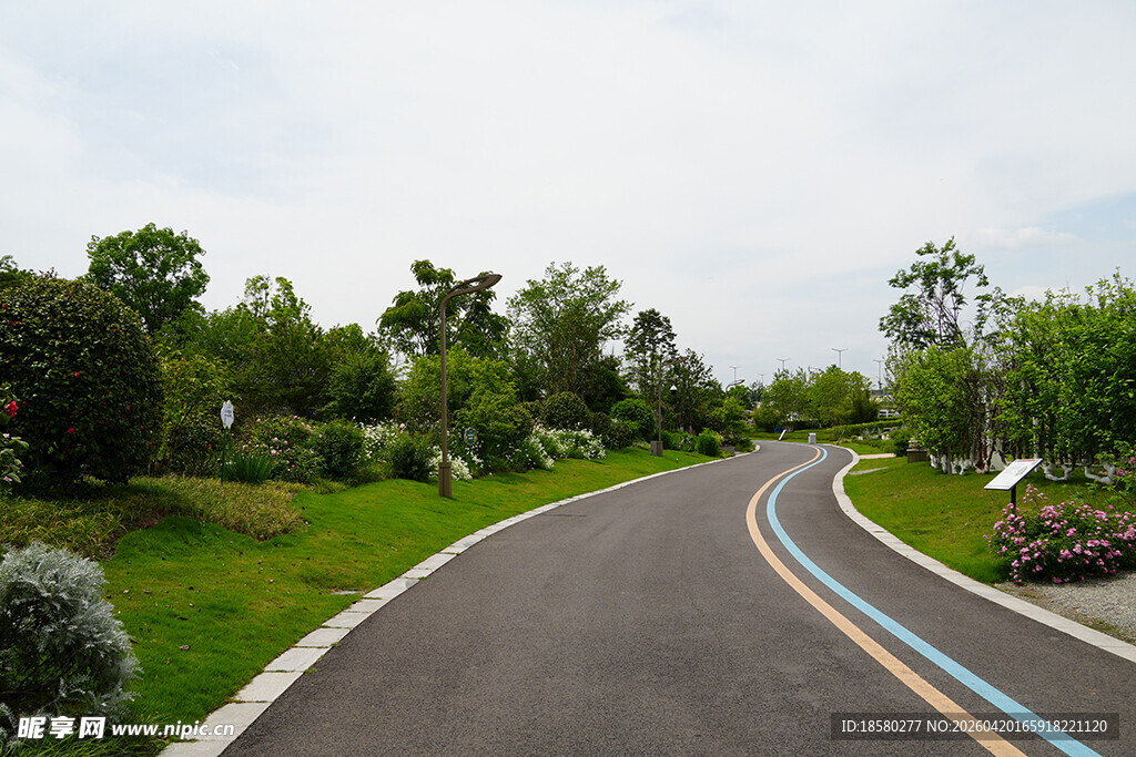 蜿蜒多彩乡村景观道路
