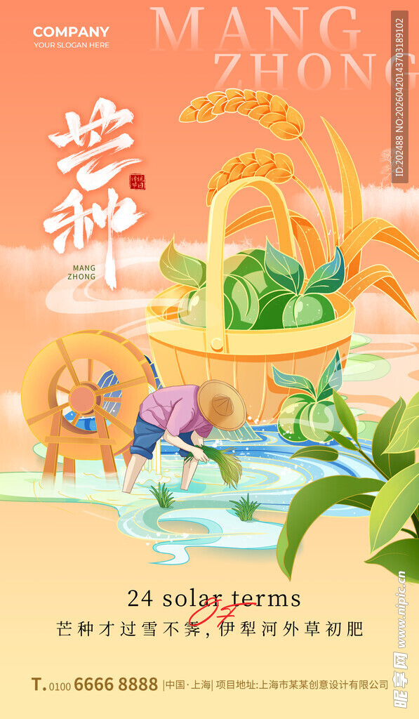 芒种节气麦穗橘色插画海报