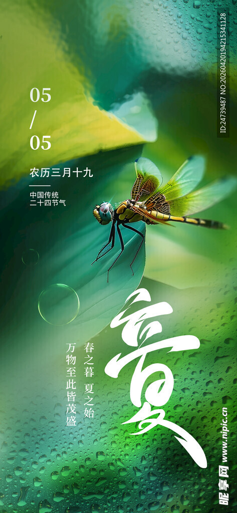 立夏海报 