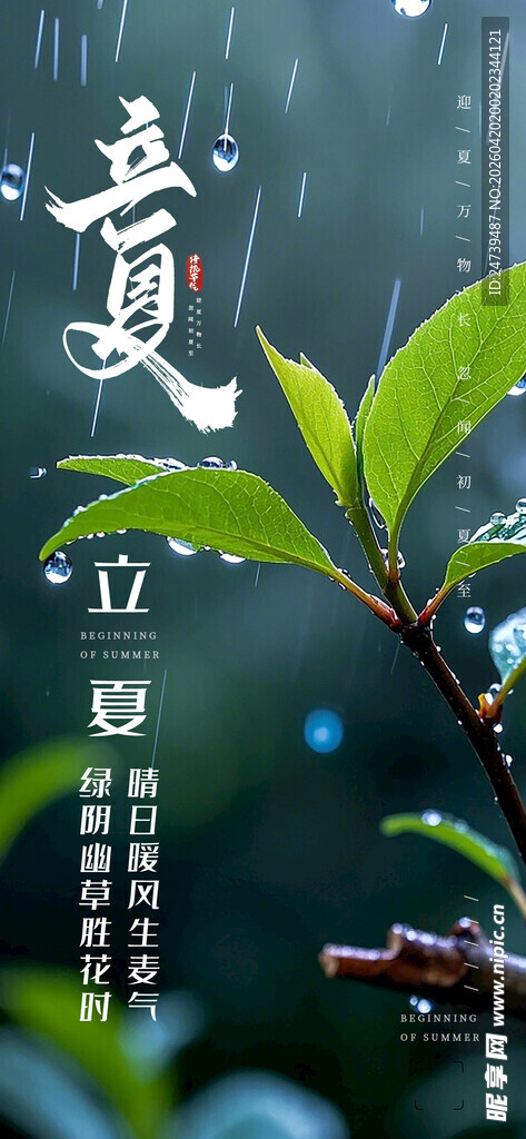 立夏海报 