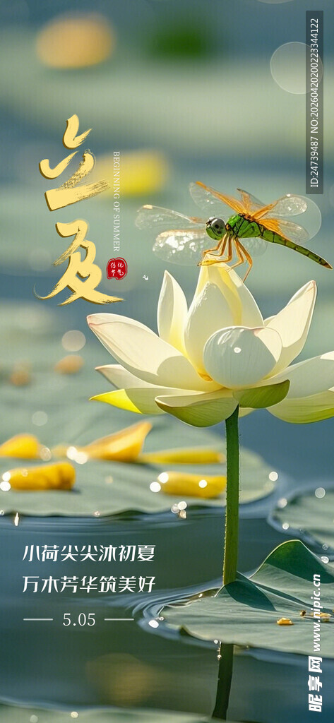 立夏海报