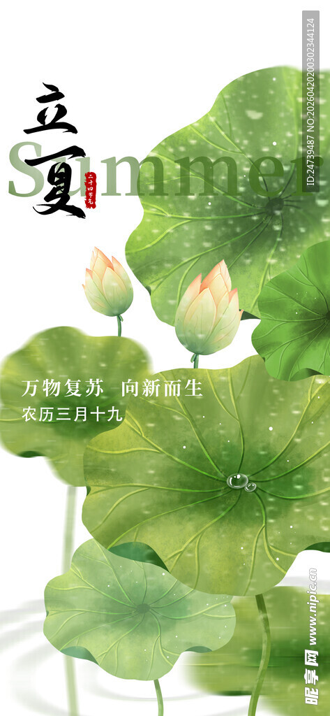 立夏海报