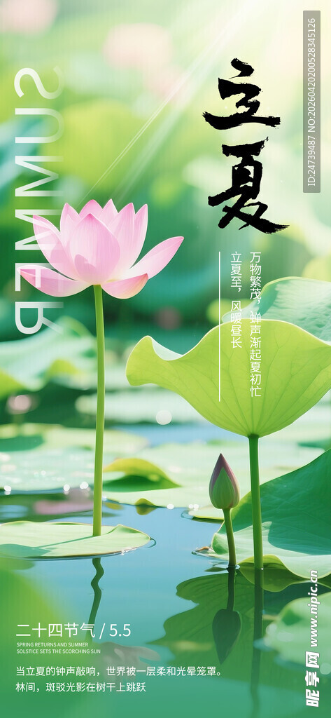 立夏海报