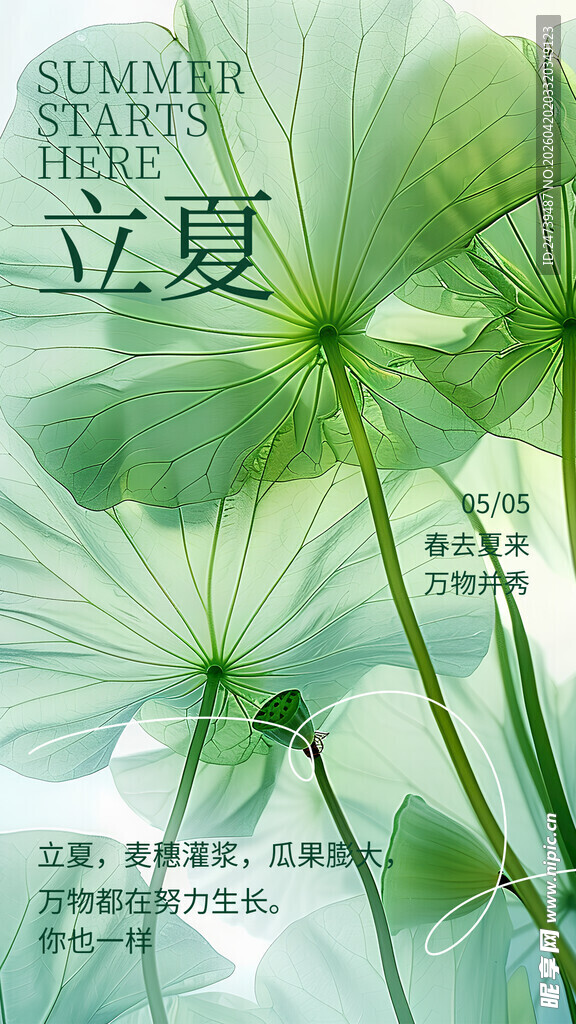 立夏海报