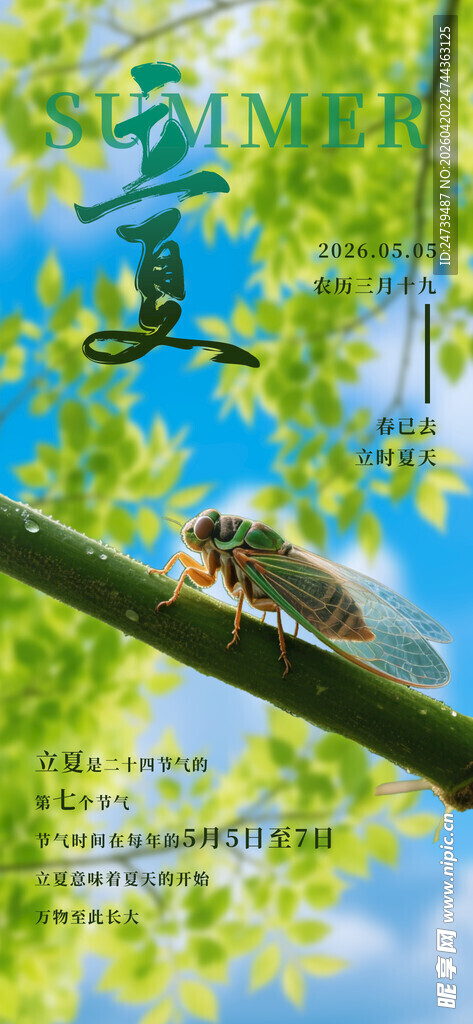 立夏海报