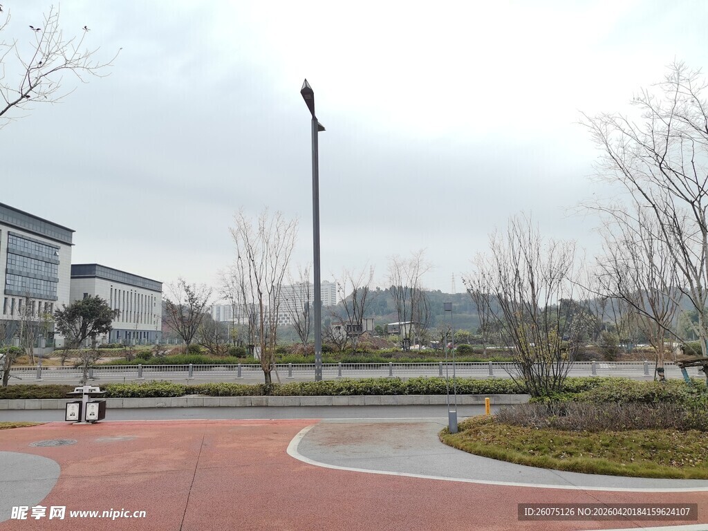 城市公园中的开阔道路景观