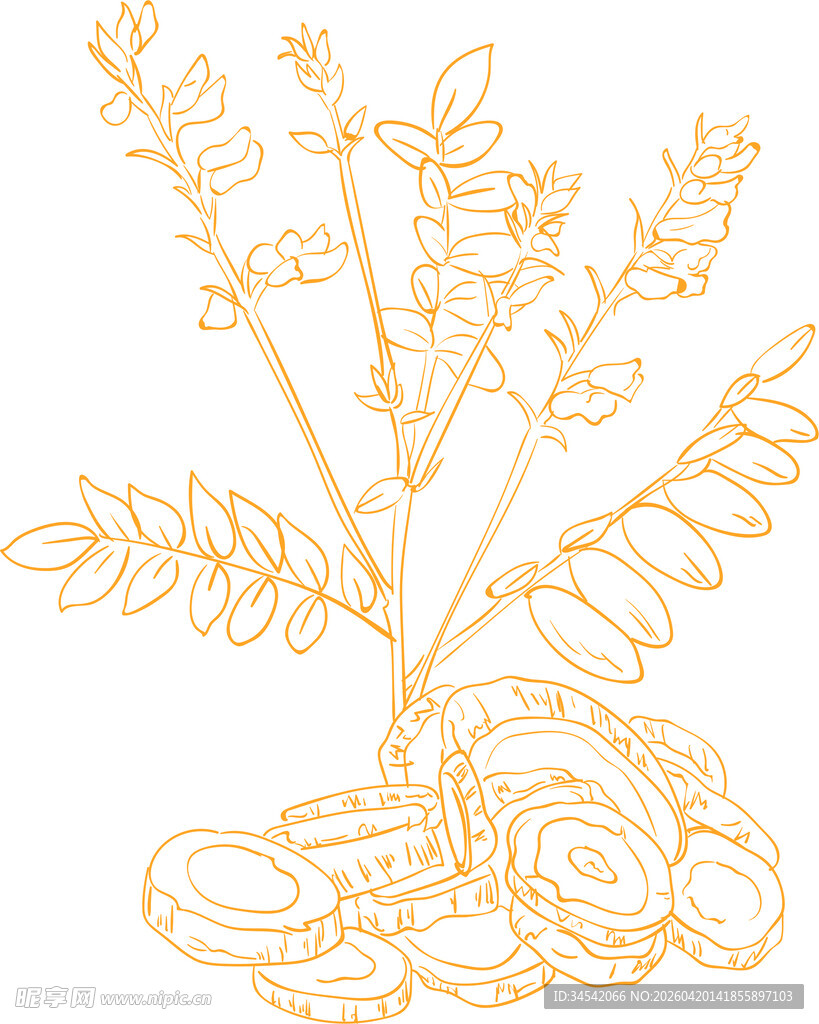 金色线条勾勒的植物图案