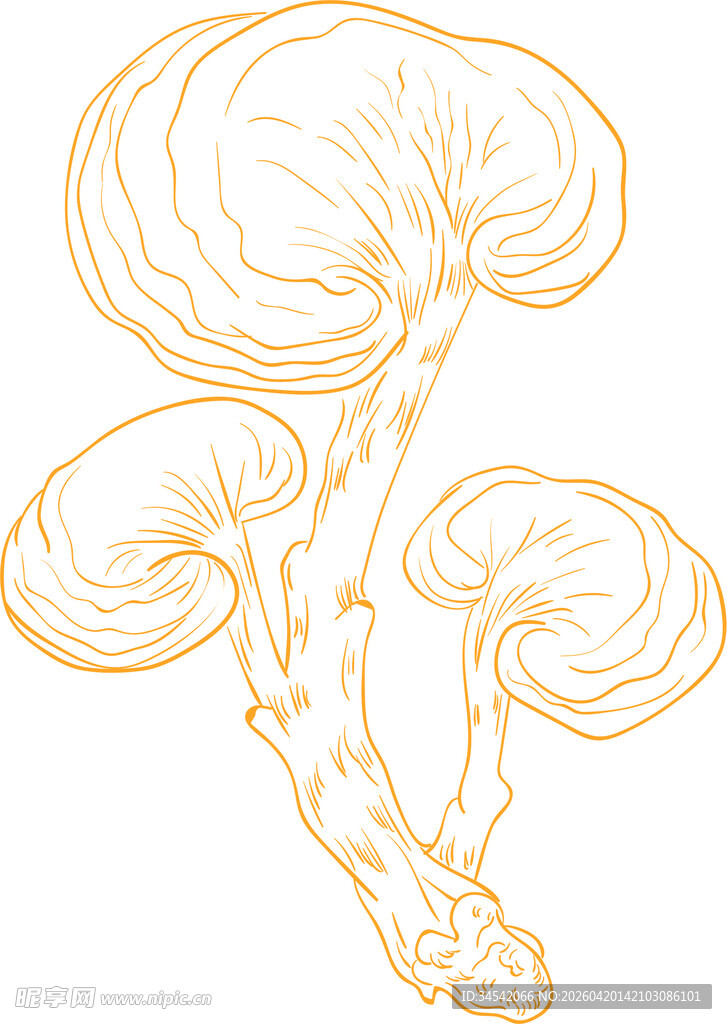 手绘线条灵芝图案