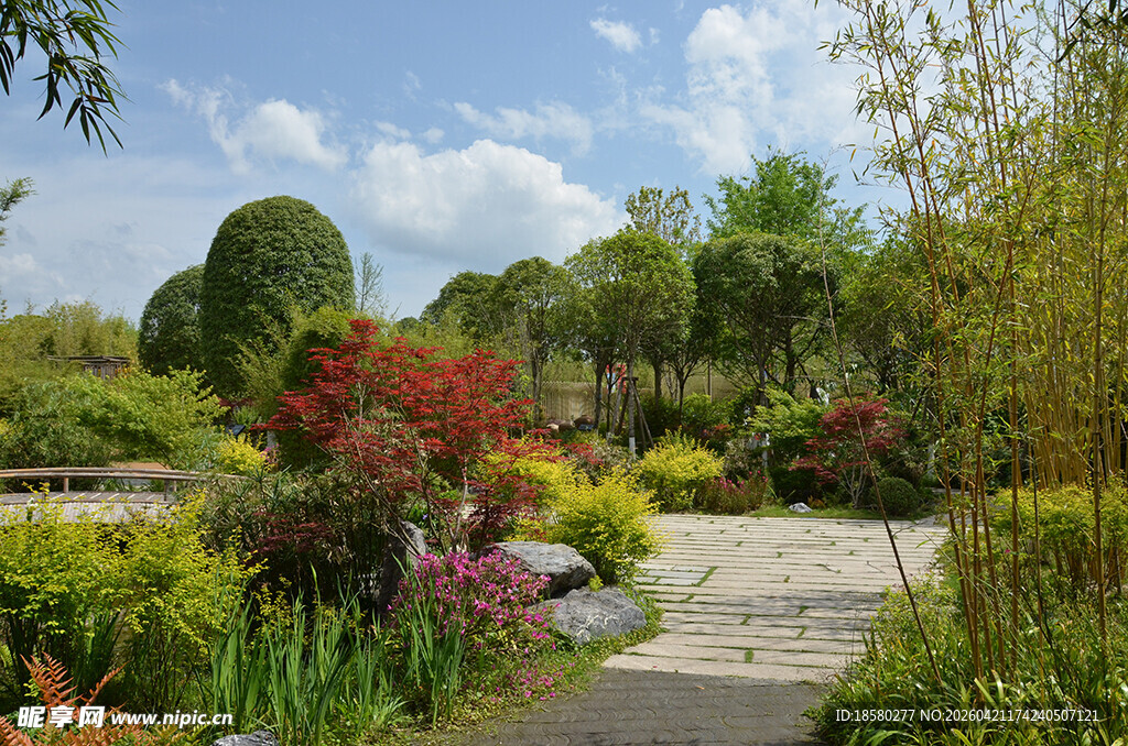成都世博园美丽园林景观小径