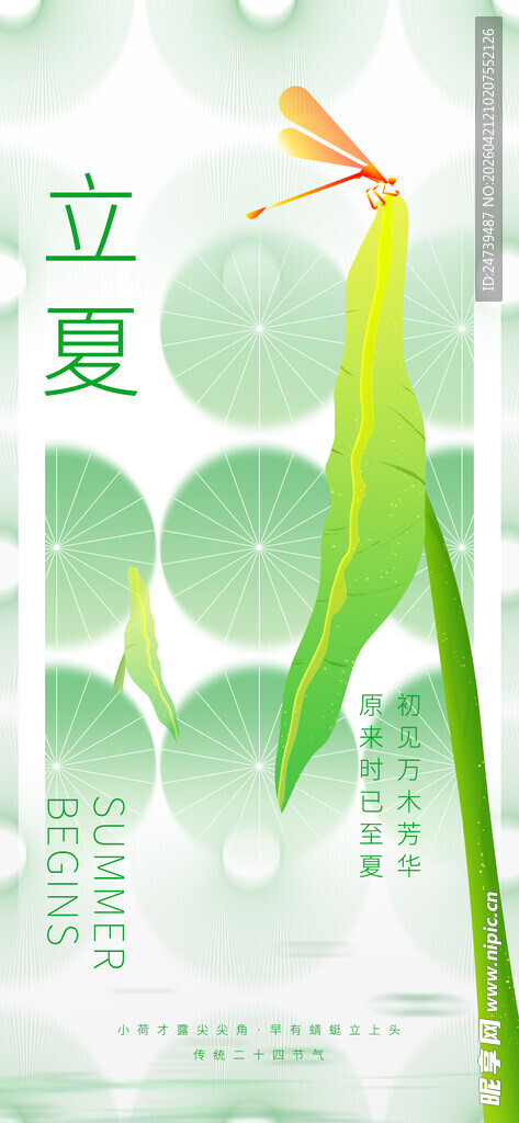 立夏海报