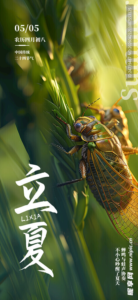 立夏海报