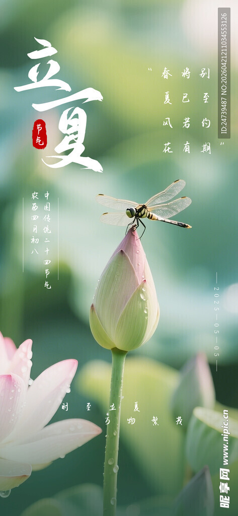 立夏海报