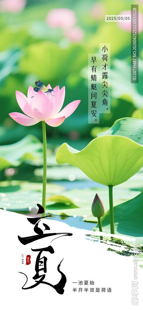 立夏海报