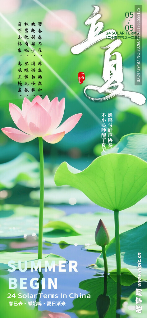 立夏海报