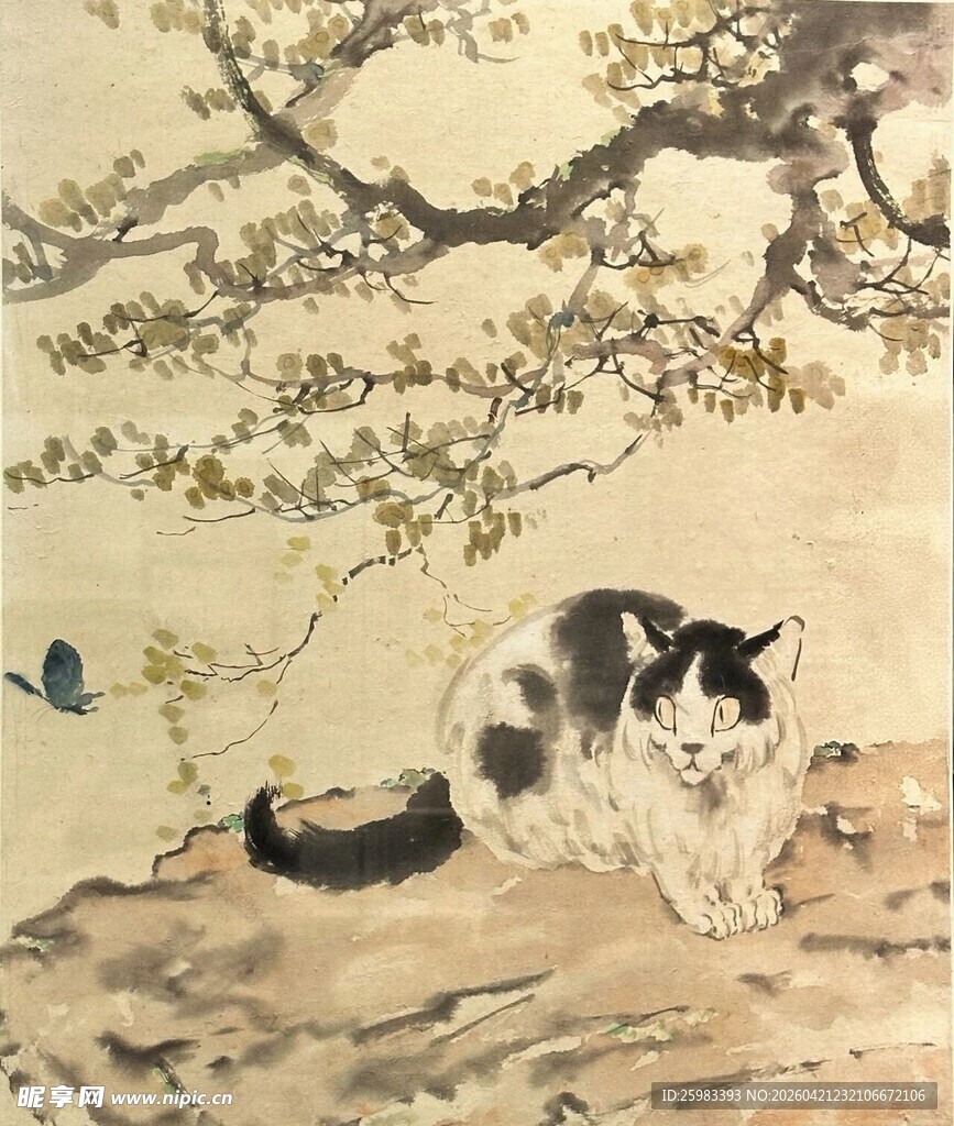 猫咪赏蝶图