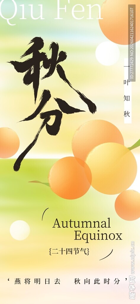 秋分节气海报