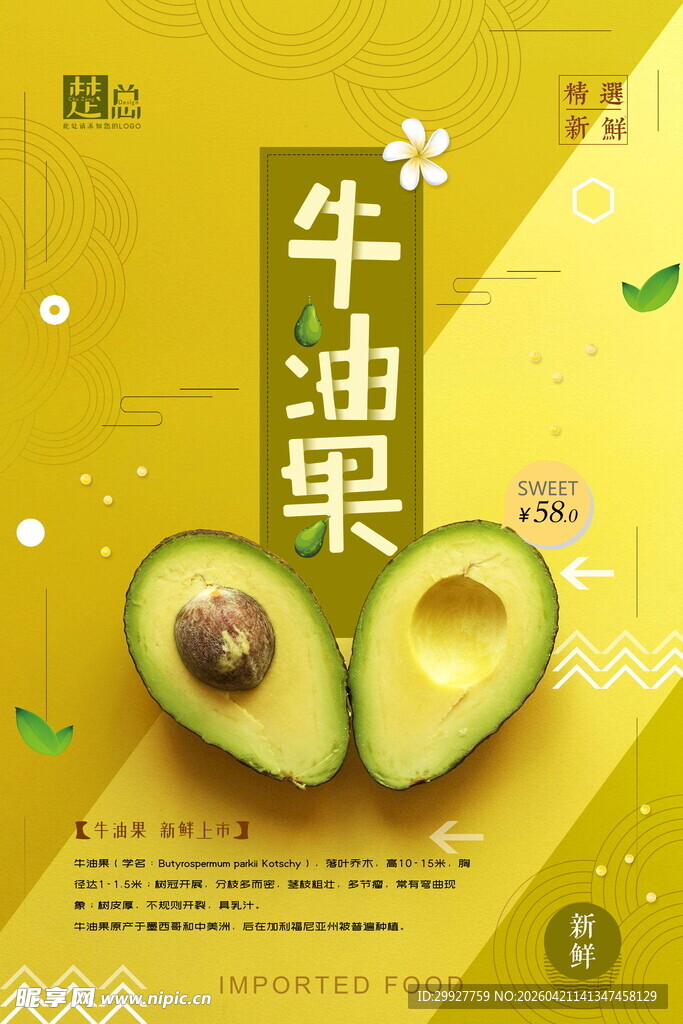 牛油果海报