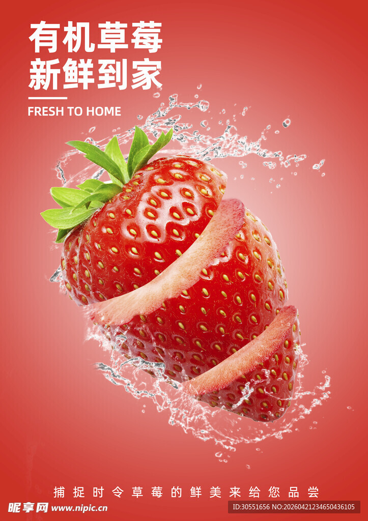 新鲜有机草莓 水润到家