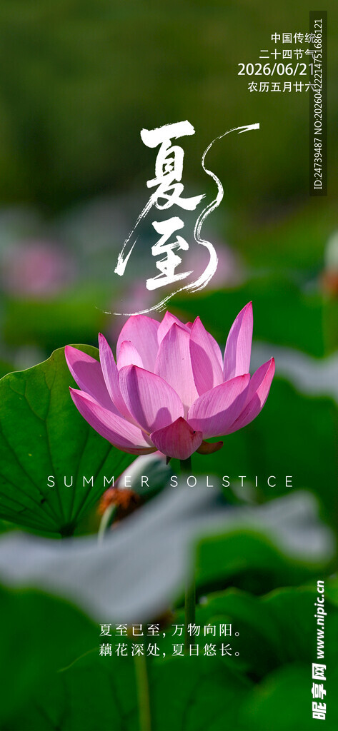 夏至海报