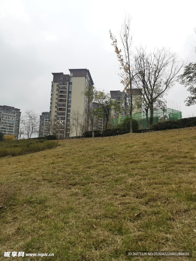 城市草地与远处高楼景观