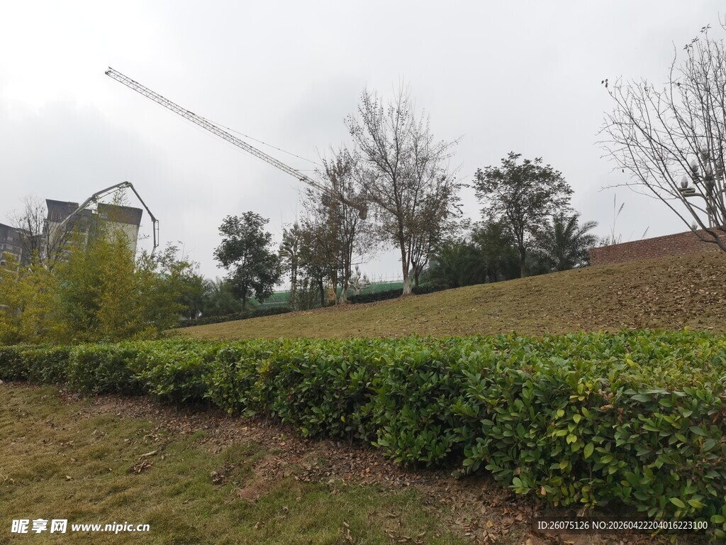 户外草地与远处施工场景