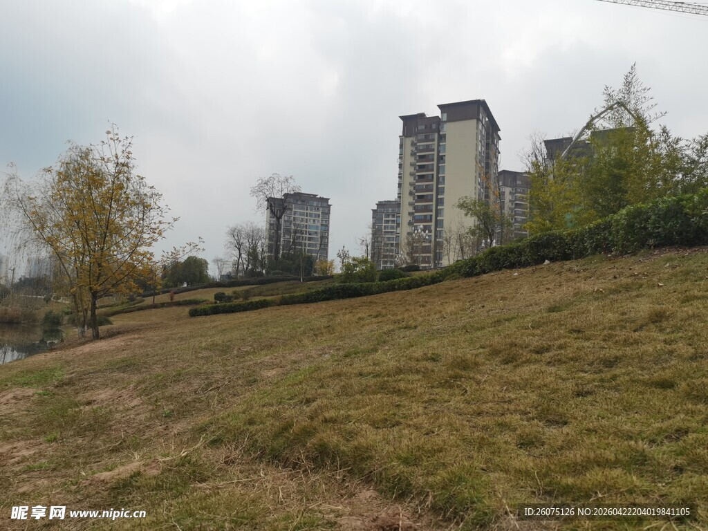 城郊草地与远处高楼景观