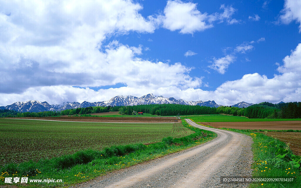 乡间蜿蜒小路田园风光