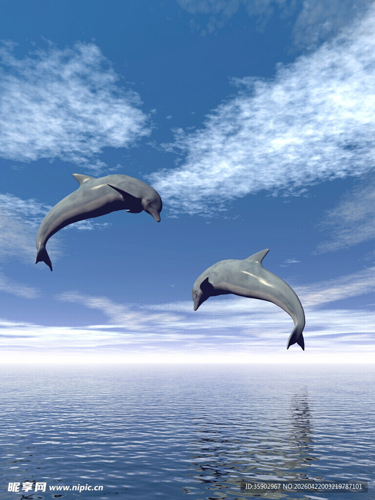 跃出水面的两只海豚