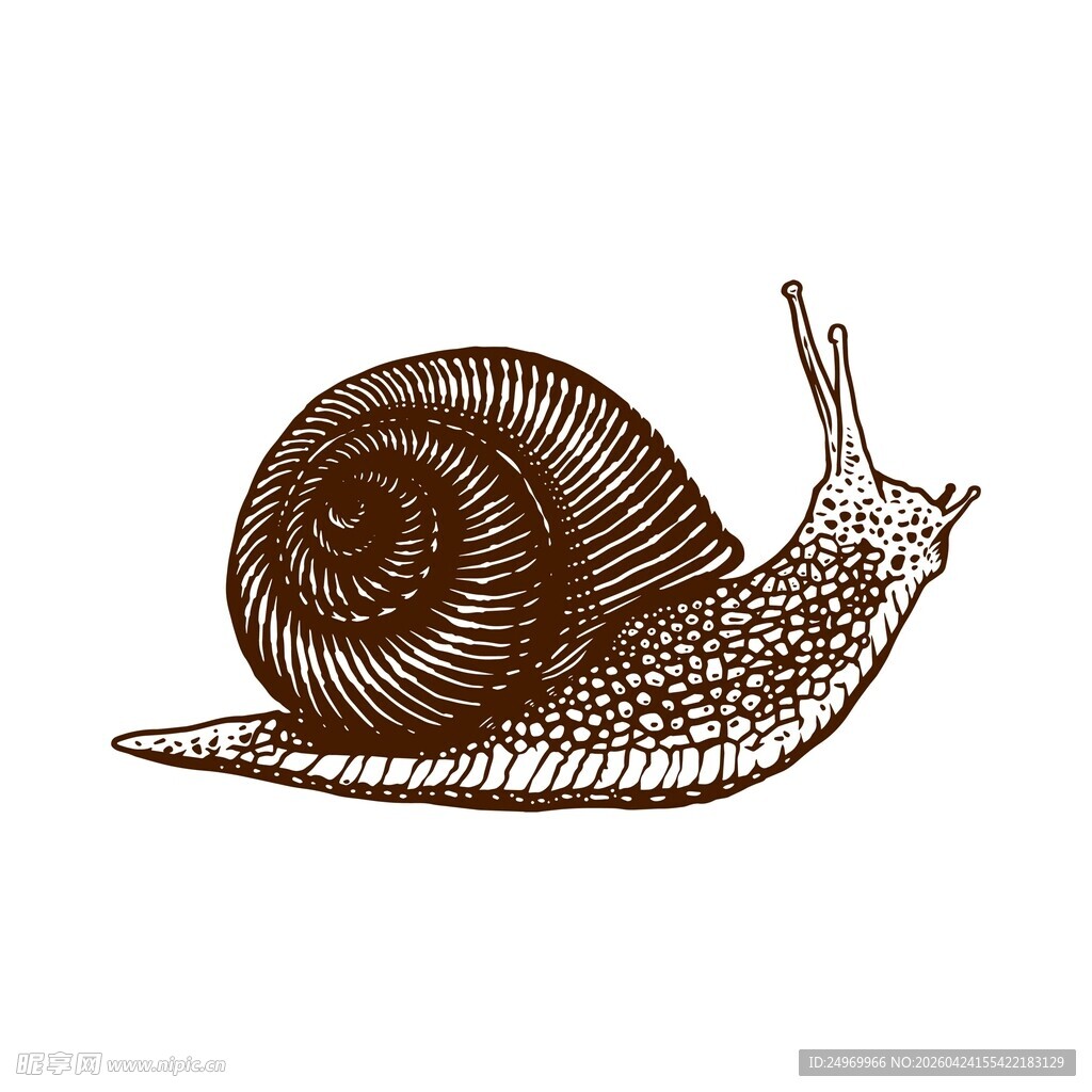 手绘蜗牛图案