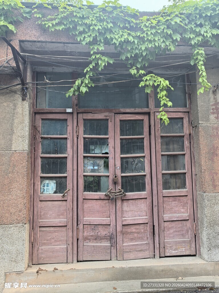 老旧木门旁的绿意藤蔓