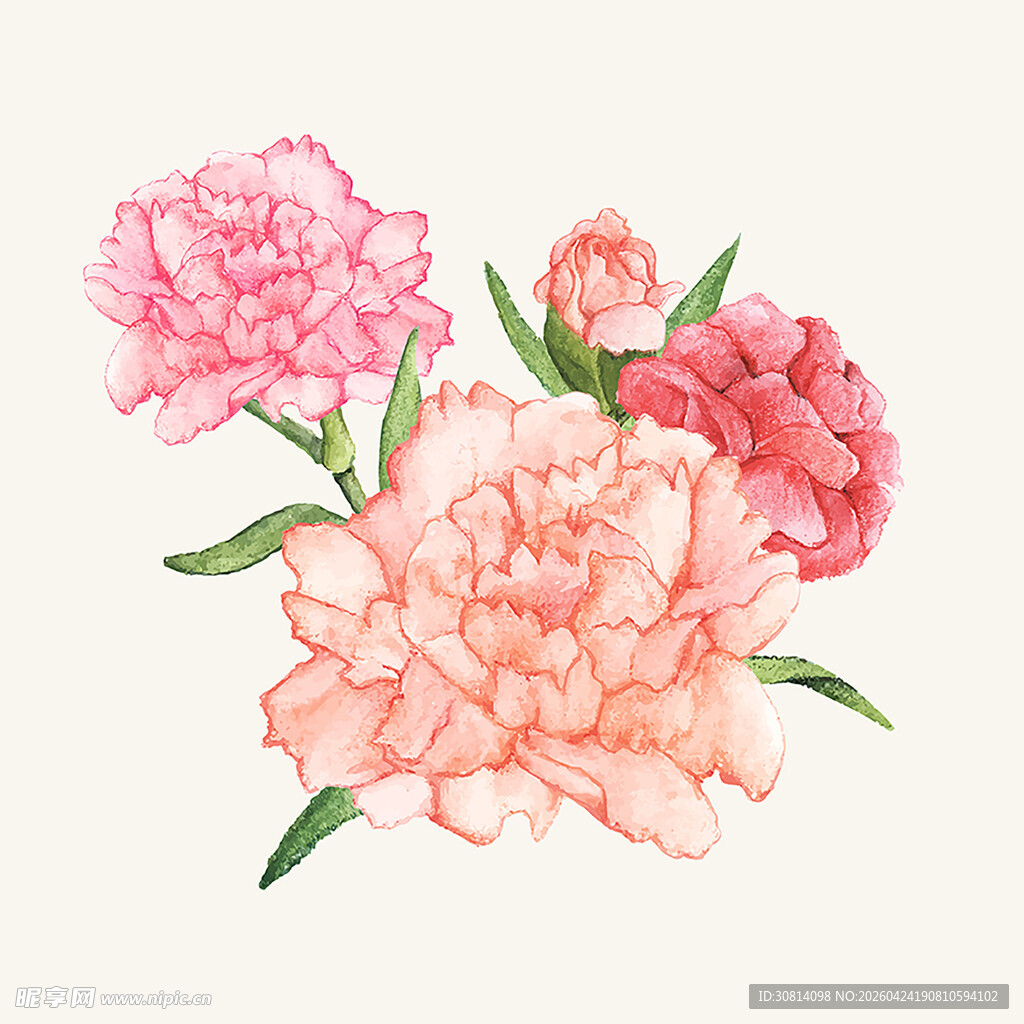 手绘粉色系美丽花卉图案