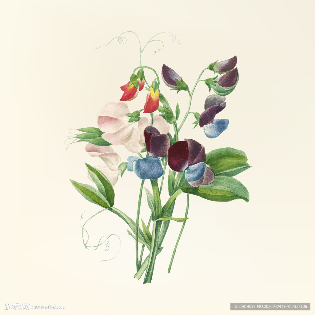 水彩绘多彩花卉植物