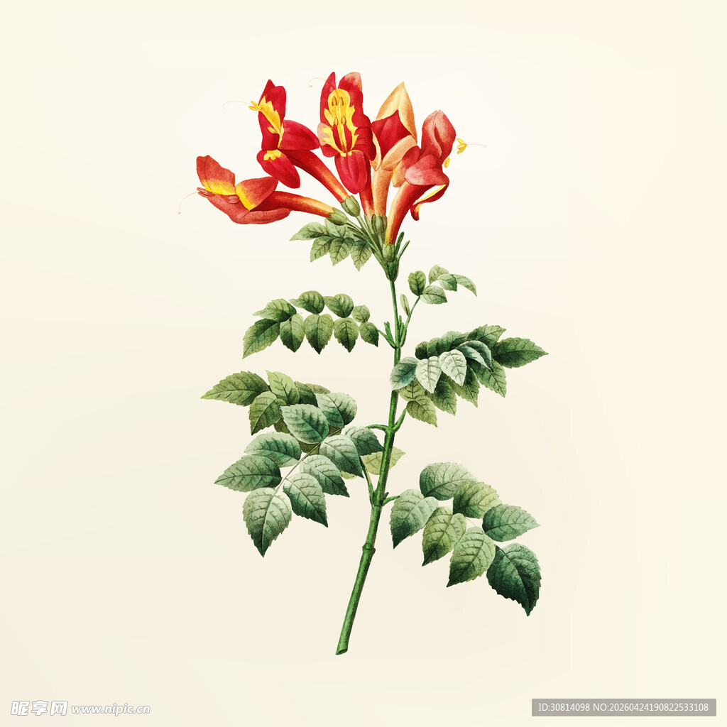 手绘鲜艳花朵与绿叶