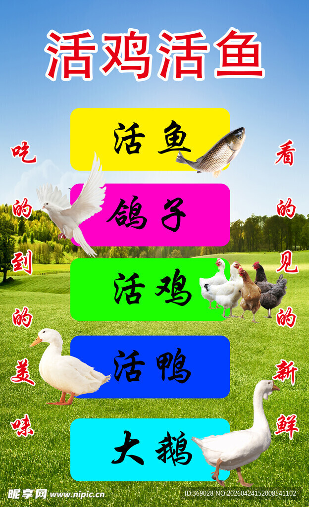 活鸡活鱼