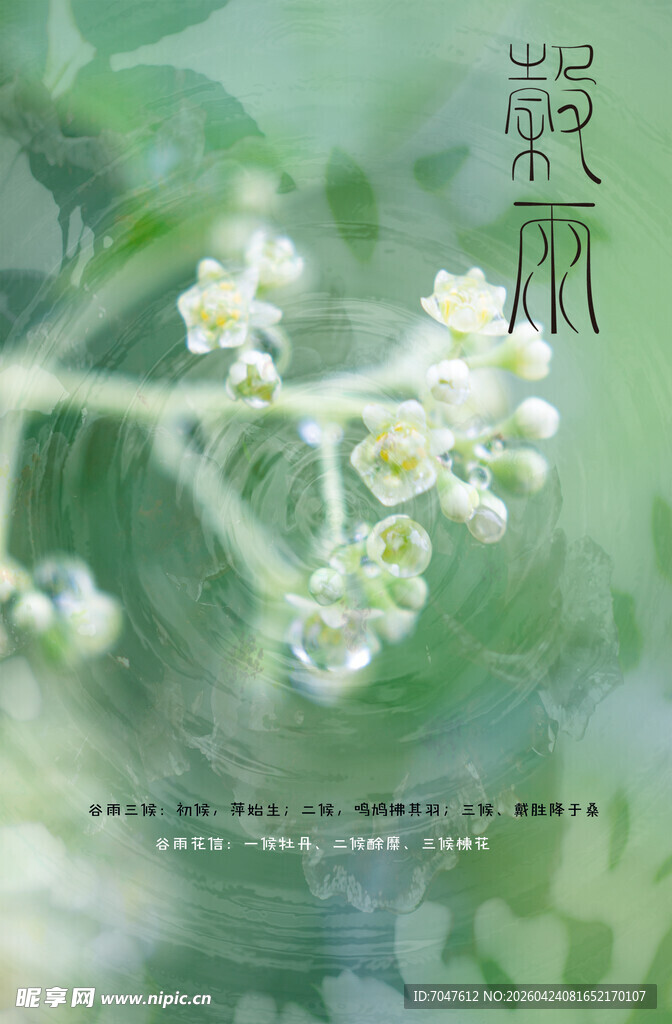 24节气谷雨海报