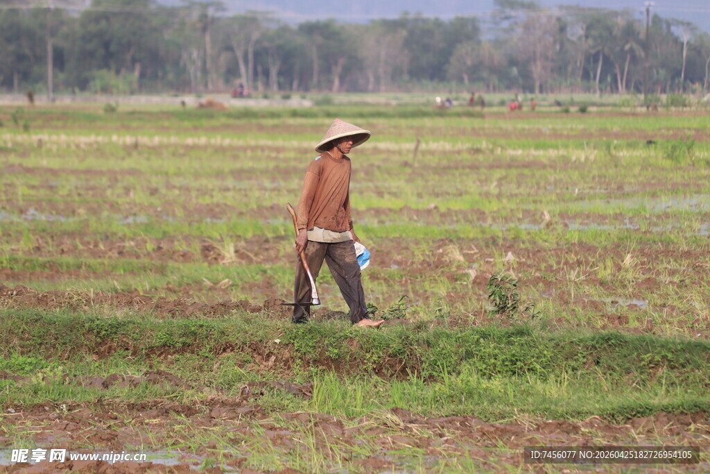 田间劳作的农民