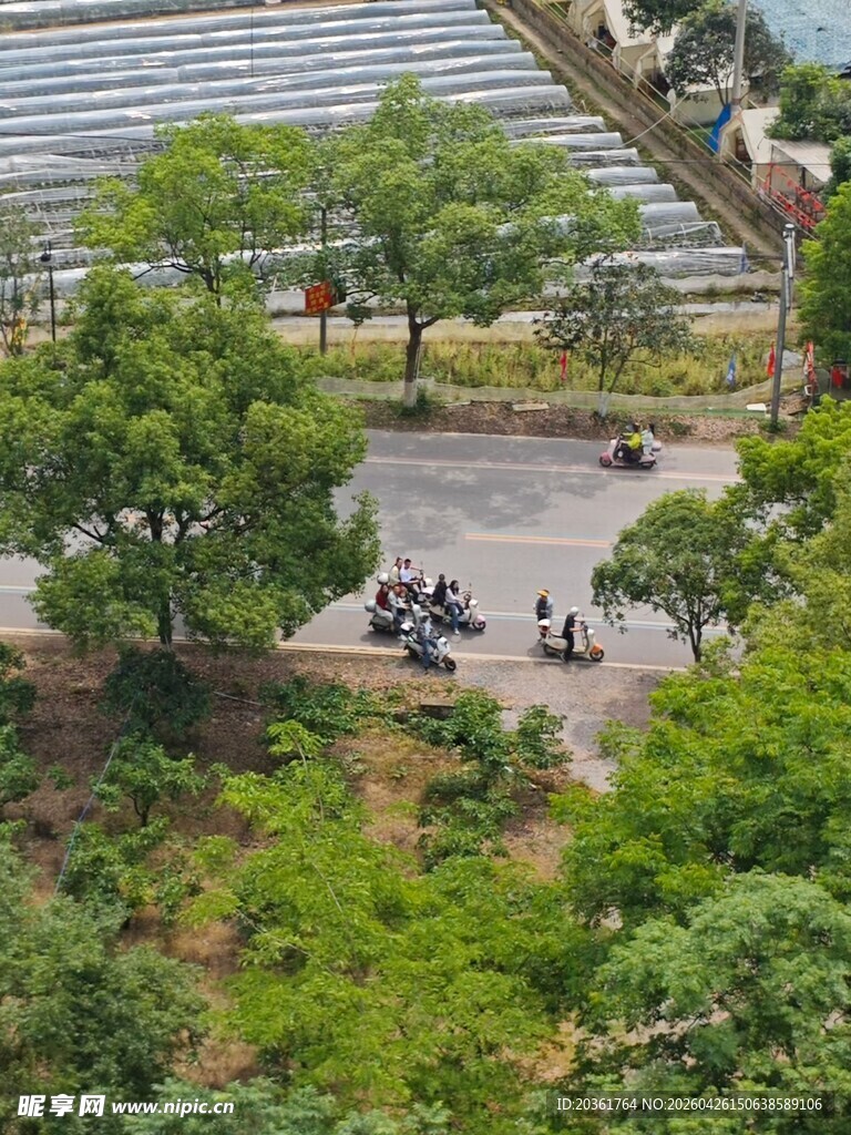 园区内绿树环绕的停车场景