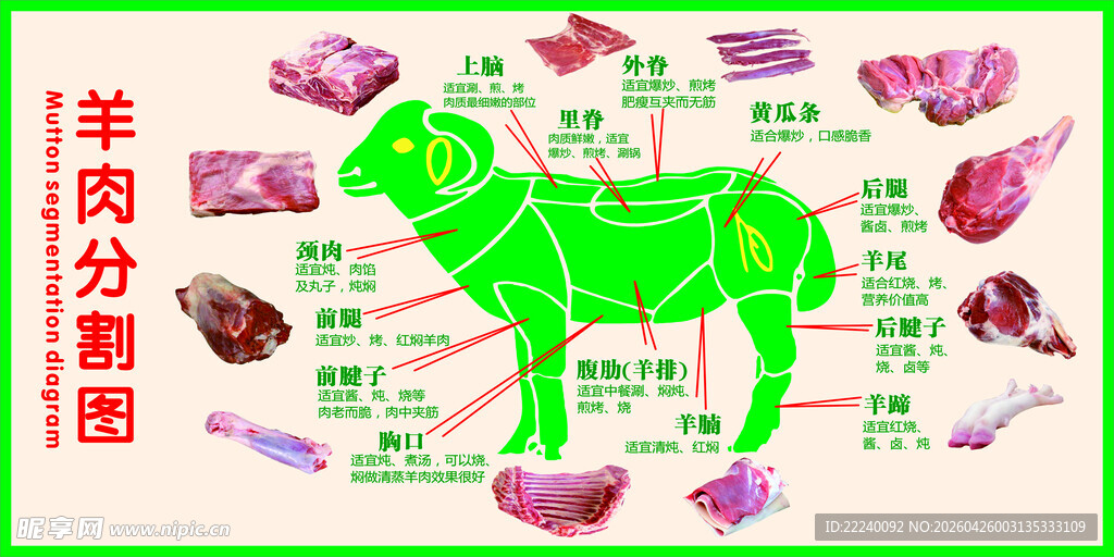 羊肉分解图