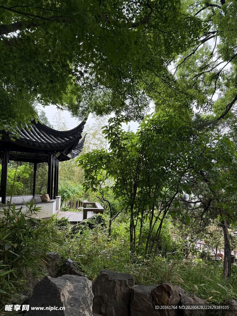 林中古亭