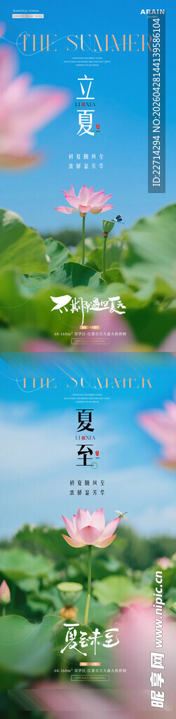 立夏夏至荷花风景海报
