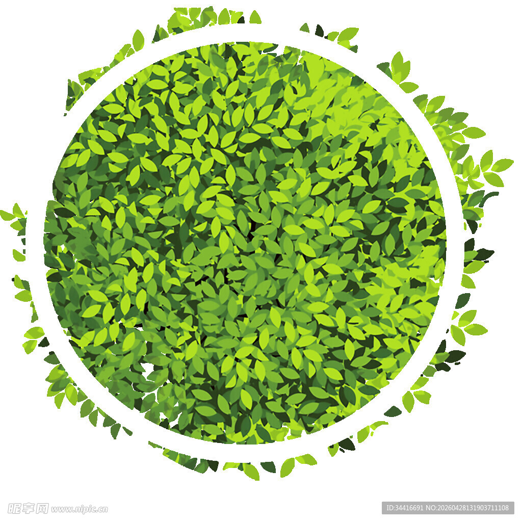 圆形绿意盎然的植物景观