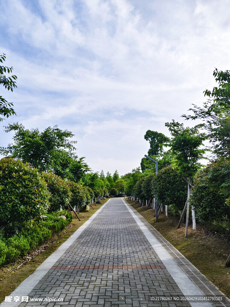 林间砖石步道