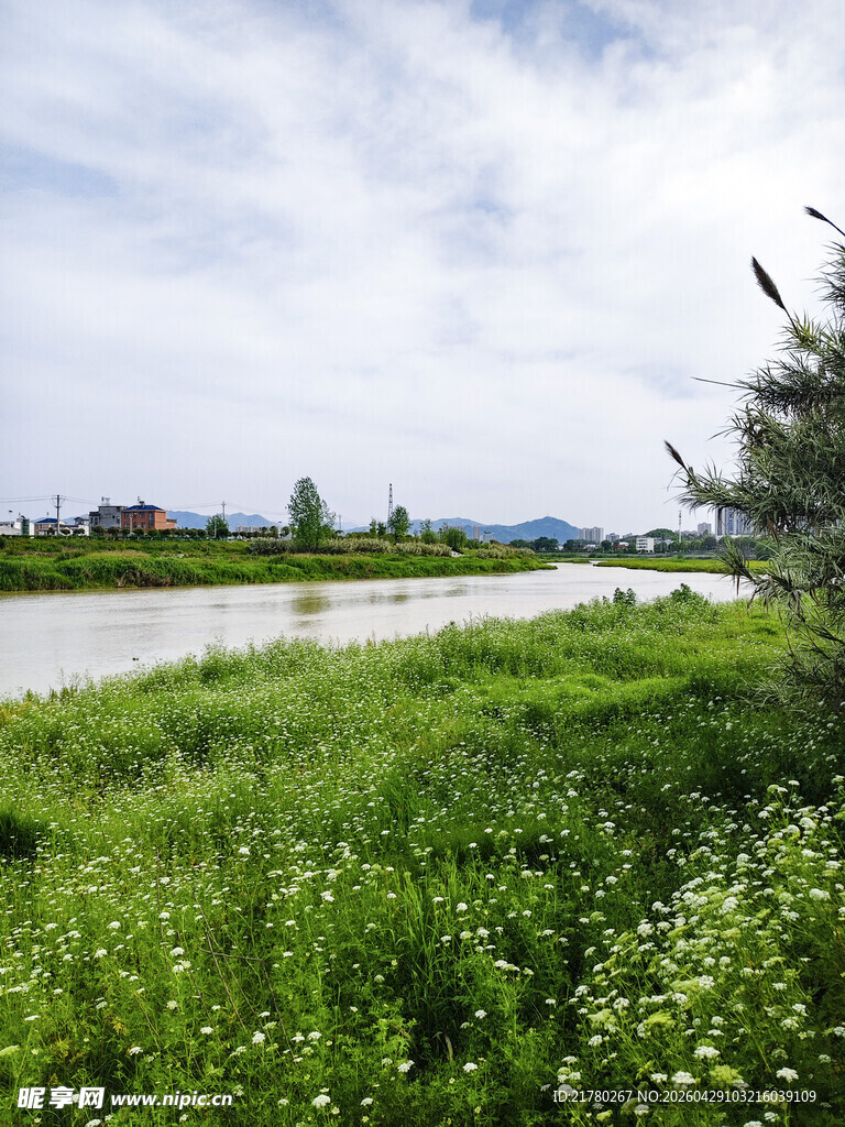 田野边的绿意风景