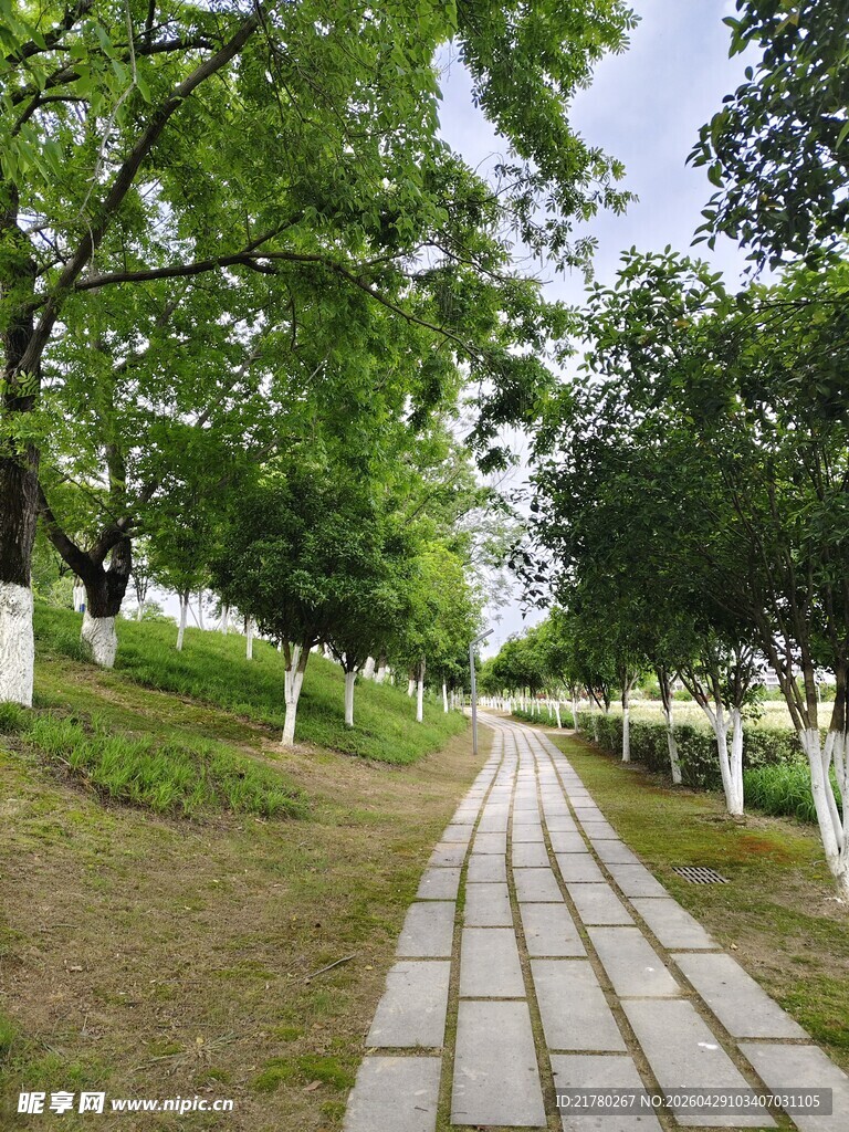 林间砖石小道