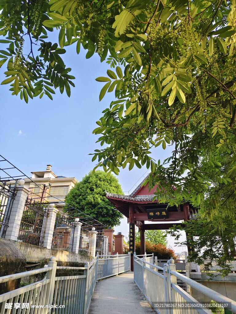 中式园林景观中的雅致小亭