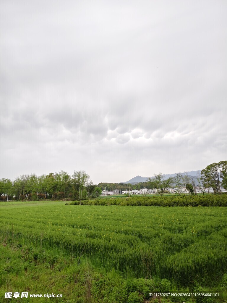 乡村广袤田园风景