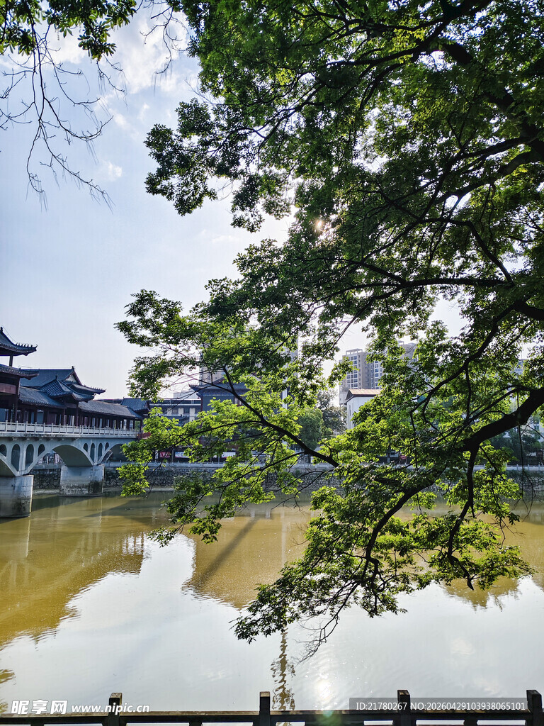 湖畔古景 绿树掩映