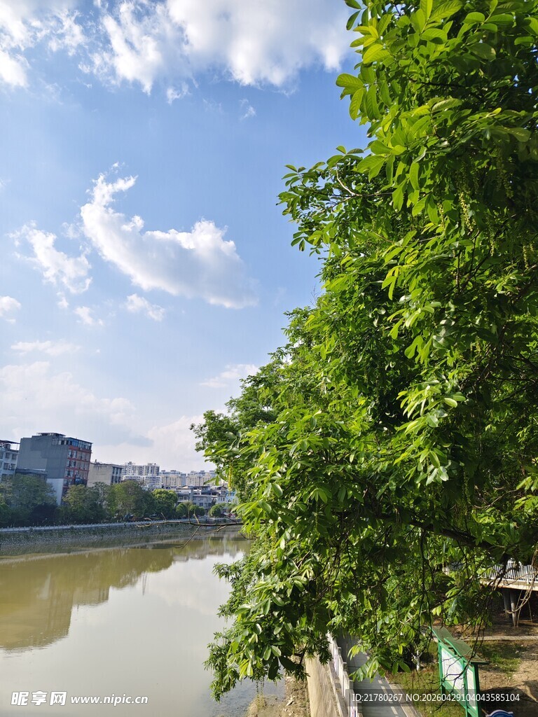 河畔绿树蓝天城市风景