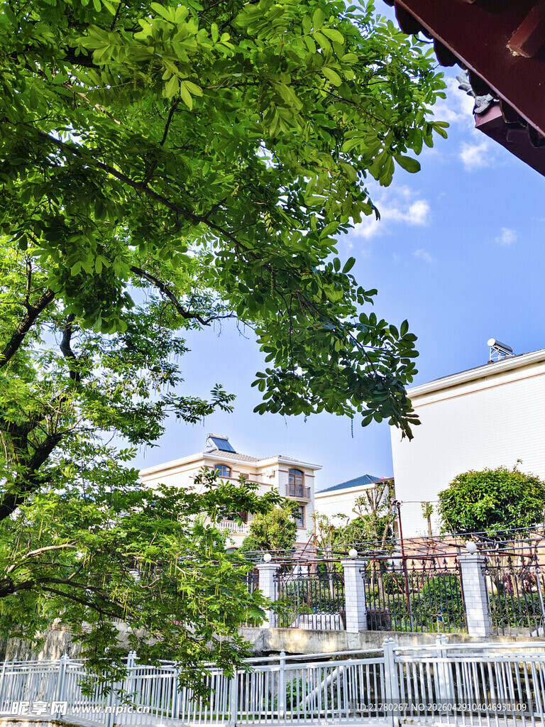 蓝天绿树别墅区